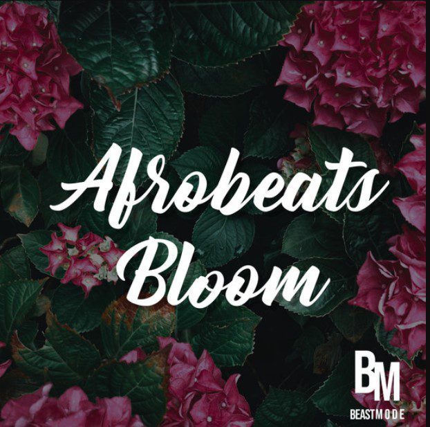 Beast Mode Afrobeats Bloom (Premium)