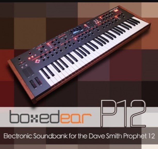 Boxed Ear P12 Prophet 12 Bank  (Premium)