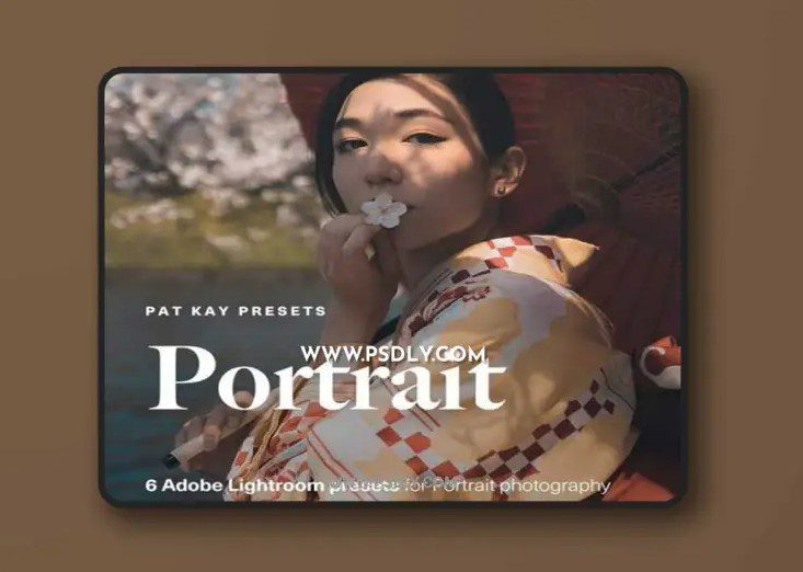 Pat Kay – Portrait Presets (Premium)