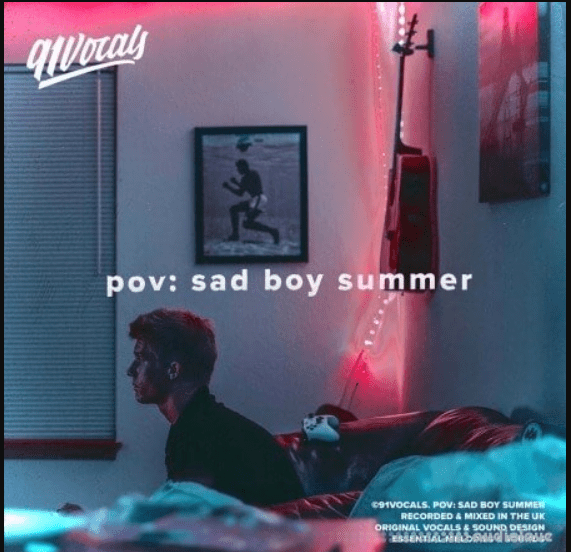 91Vocals pov sad boy summer (Premium)