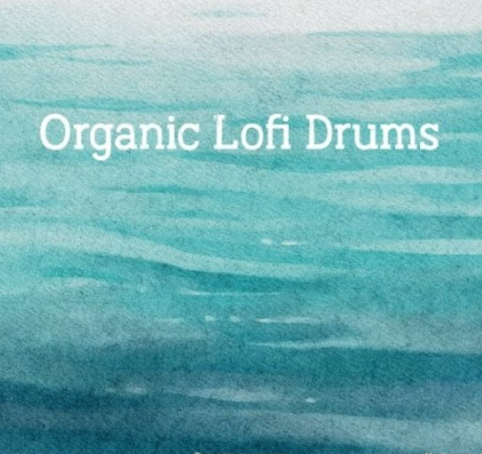 New Loops Organic Lofi Drums (Premium)