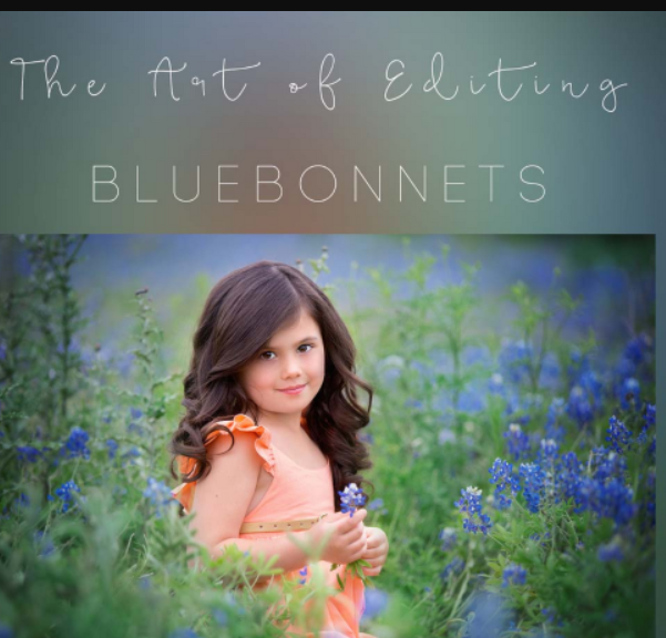 Sandra Bianco – Bluebonnets edit (Premium)