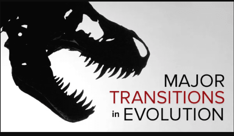 TTC – Major Transitions in Evolution (Premium)