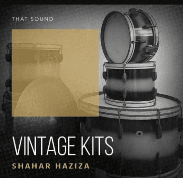 That Sound Vintage Kits (Premium)