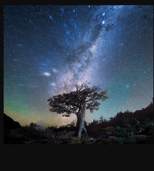 Daniel Kordan Photography – Patagonia Night Sky Panorama Baobab (Premium)