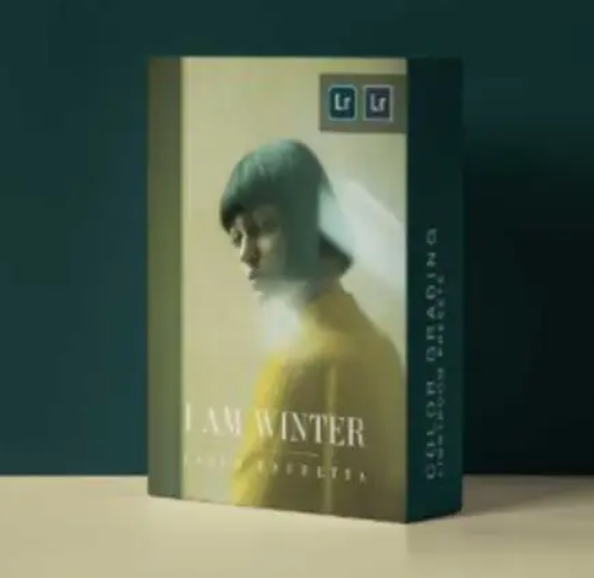 IAMWINTER / Paolo Barretta Color Grading Lightroom Presets (premium)