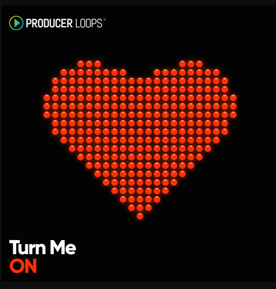 Producer Loops Turn Me On [MULTiFORMAT] (Premium)