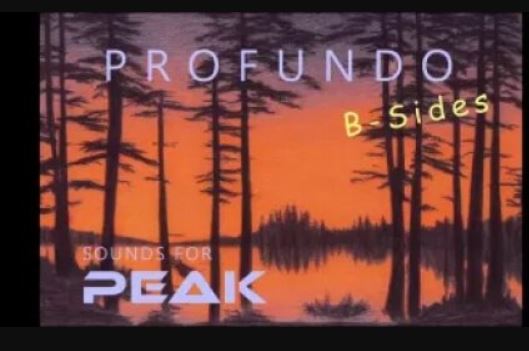 CraigZSounds Profundo 64 Patches for Novation Peak (Premium)