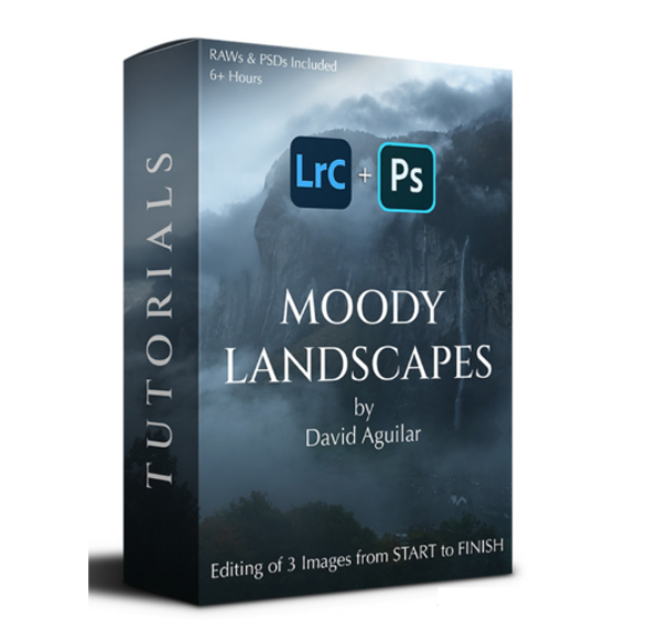 David Aguilar – Moody Landscapes (Premium)