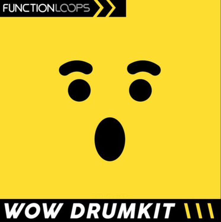 Function Loops Wow Drumkit Hyperpop and Beyond (Premium)