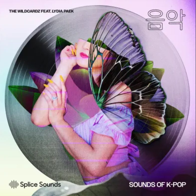 Splice Sounds Wildcardz Feat. Lydia Paek Sounds of K-Pop (Premium)