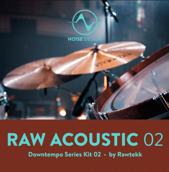 Steinberg Noise Design Raw Acoustic Downtempo 2 (Premium)