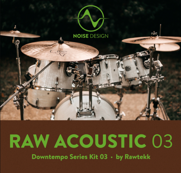 Steinberg Noise Design Raw Acoustic Downtempo 3 (Premium)