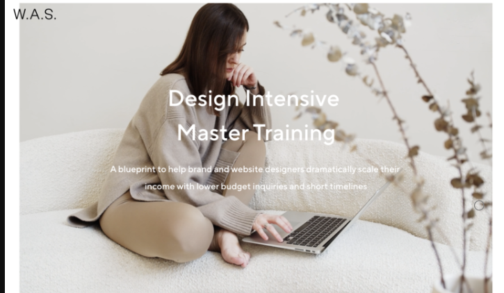 White and Salt – Design Intensive Master Training (Premium)