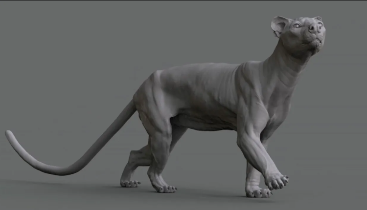 The Gnomon Workshop – Animal Anatomy – Modeling a Fossa (Premium)