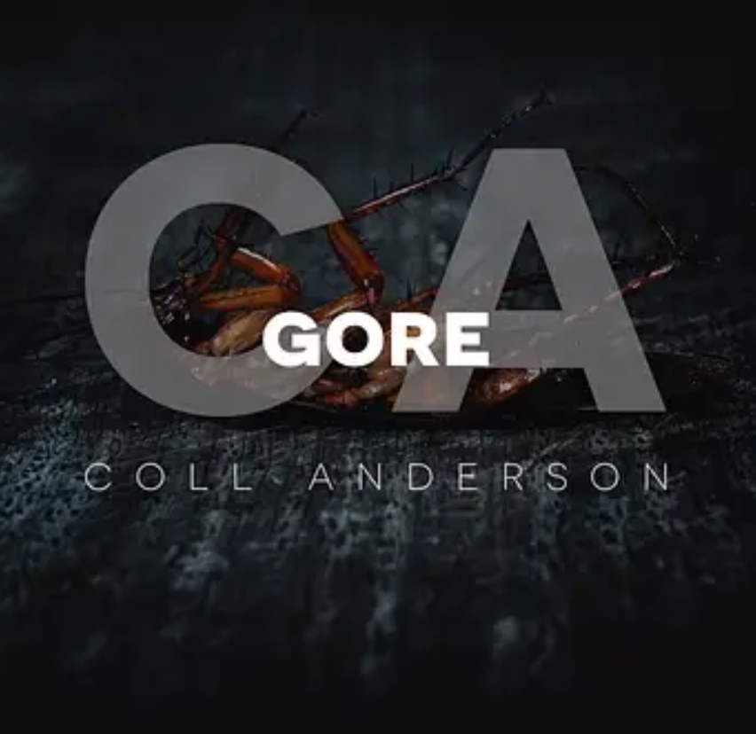 C.A. Sound Inc Gore (Premium)