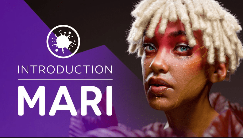 FlippedNormals – Introduction to Mari (Premium)