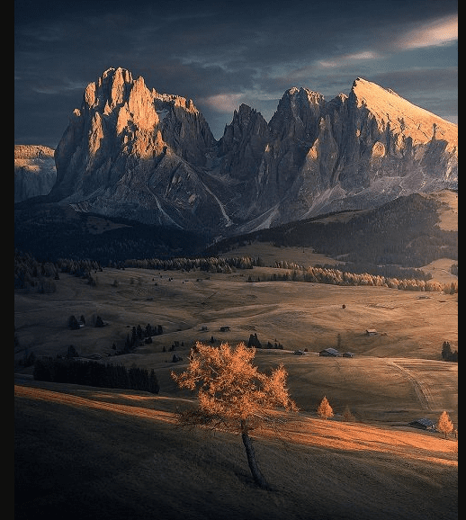 Max Rive Tutorials Bundle (Premium)