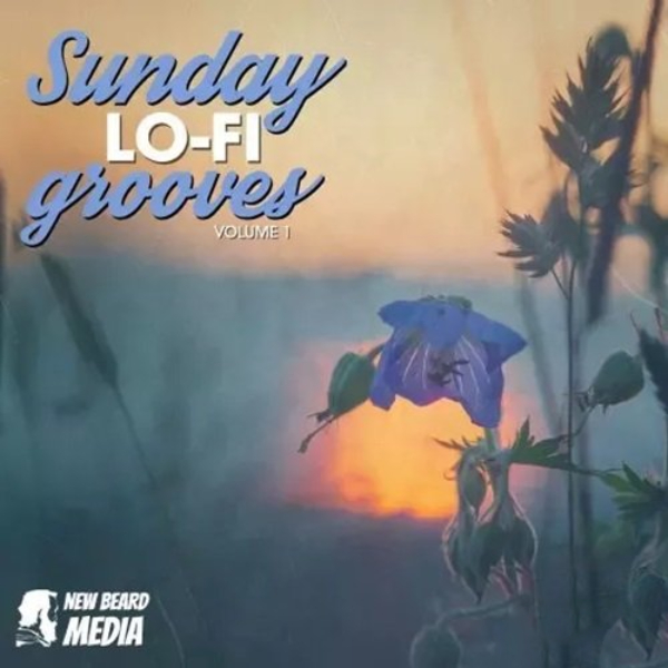 New Beard Media Sunday Lo Fi Grooves Vol 1 (Premium)