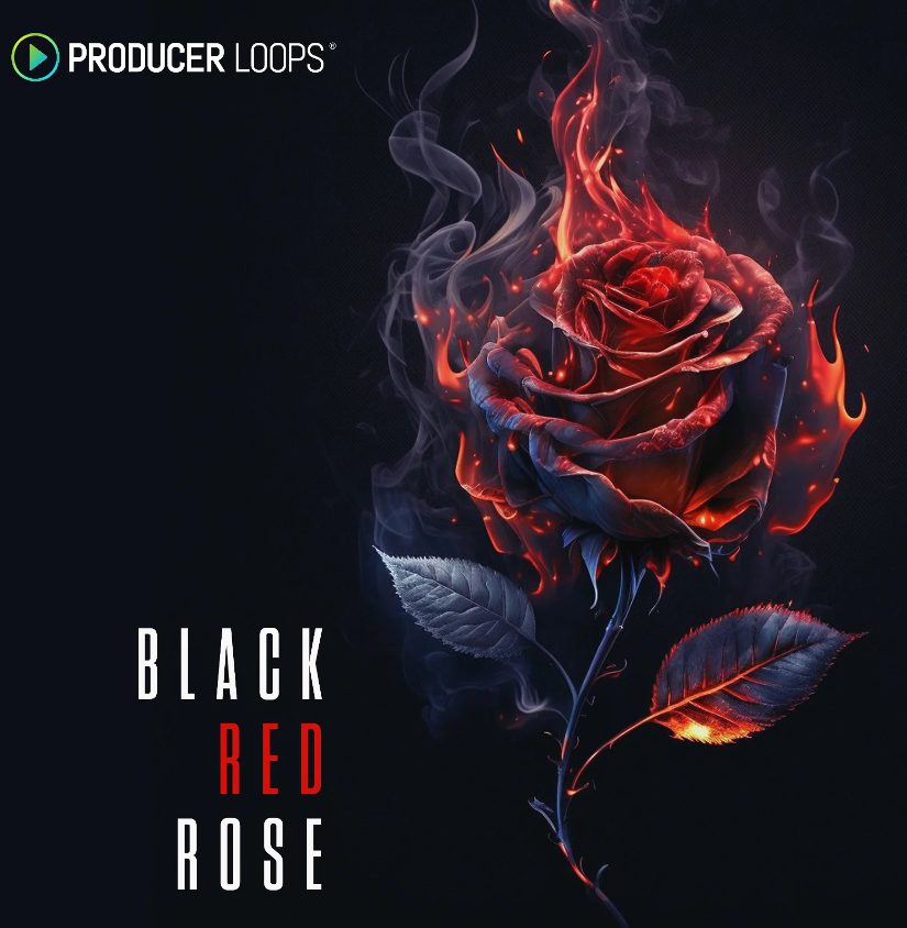 Producer Loops Black Red Rose (Premium)