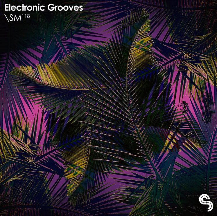 Sample Magic Electronic Grooves (Premium)