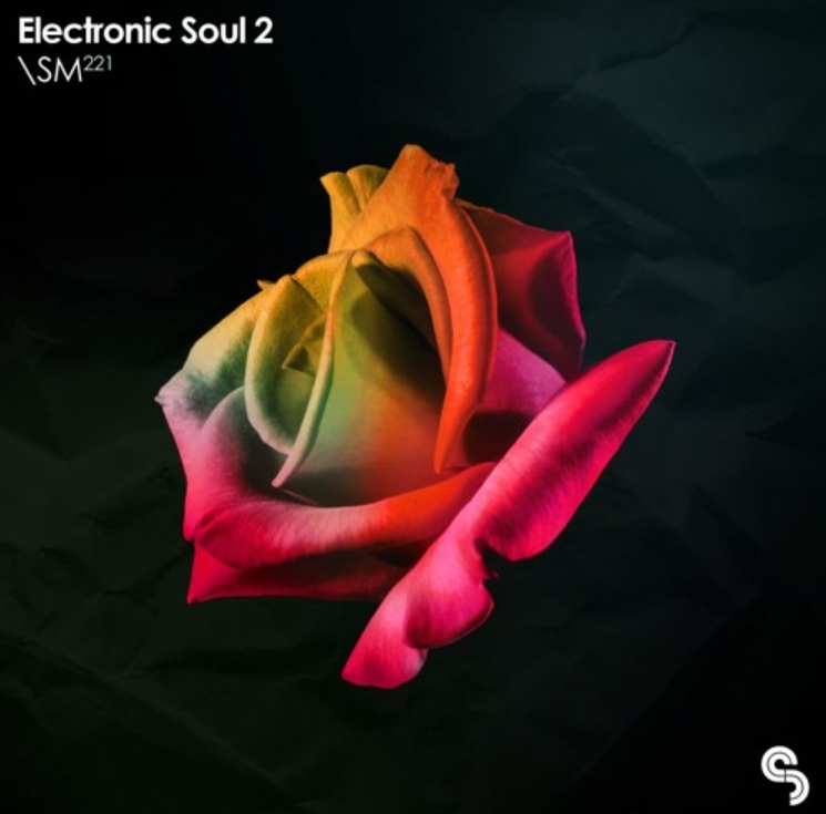 Sample Magic Electronic Soul 2 (Premium)