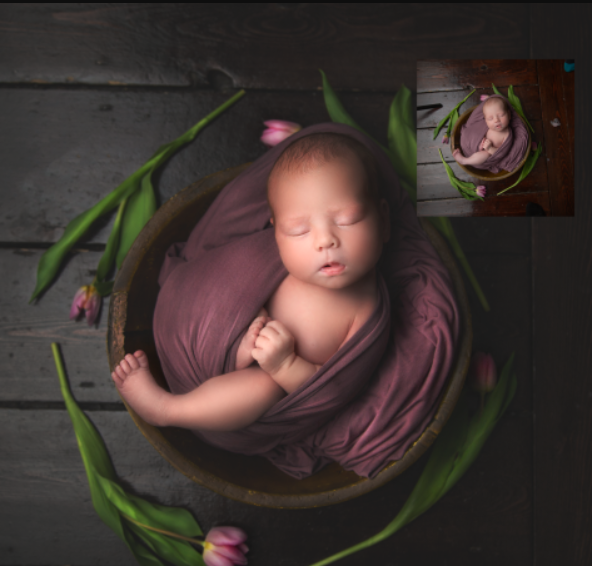 Sweet Soul Studios – May Newborn (Premium)