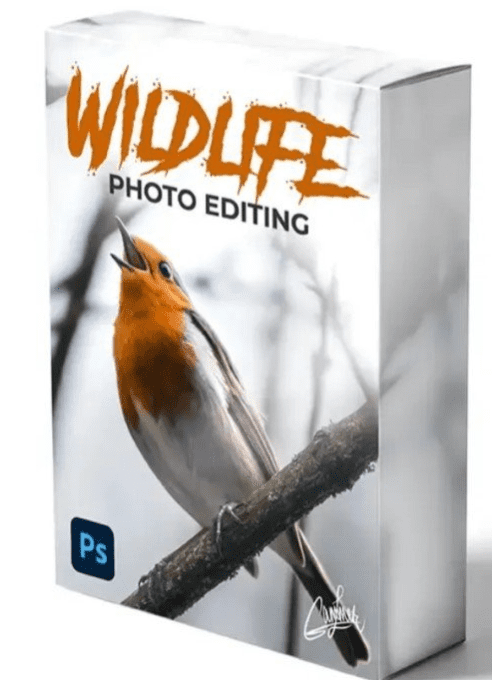 Zenja Gammer – Wildlife Photo Editing Course (Premium)