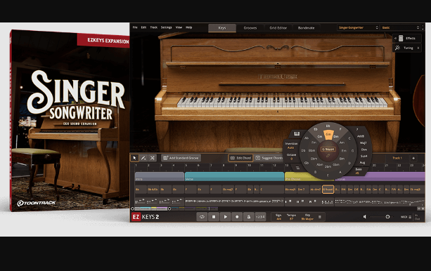 Toontrack Singer-Songwriter EKX v1.0.0 (Premium)