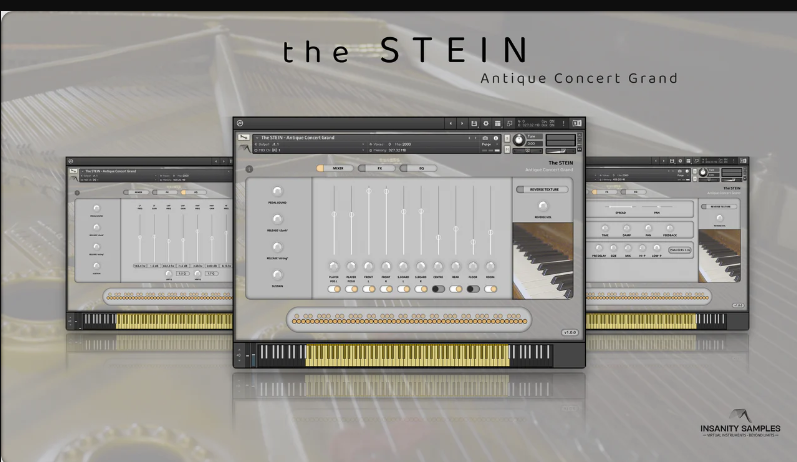 Insanity Samples The Stein Antique Concert Grand KONTAKT (Premium)