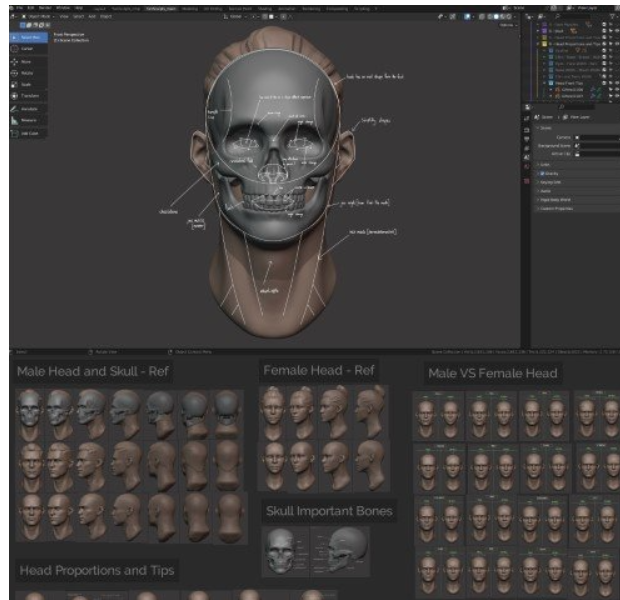 Master Sculpting Heads – 3D Blender Course – New Update! (V1.4) (Premium)