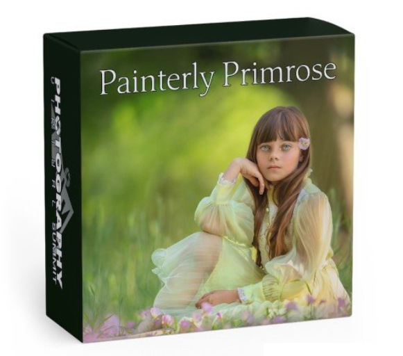 Painterly Primrose by Shannon Squires (Premium)