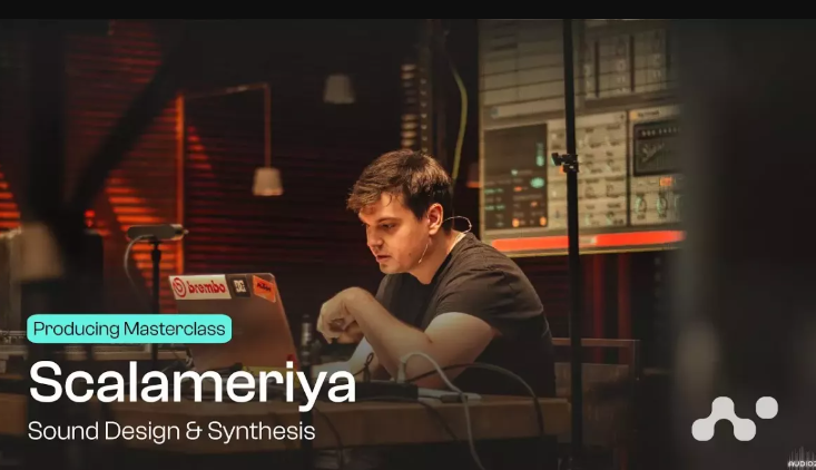 Seedj Sound Design and Synthesis By Scalameriya TUTORiAL (Premium)