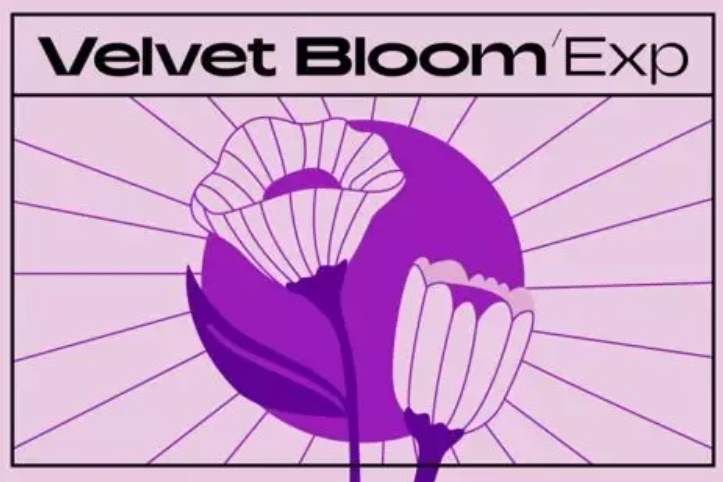 Native Instruments Velvet Bloom Maschine Expansion  (Premium)