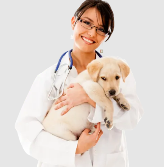 Pet Profits AI – Get Veterinarians and Pet Care Clients in 24 Hours or Less  (Premium)