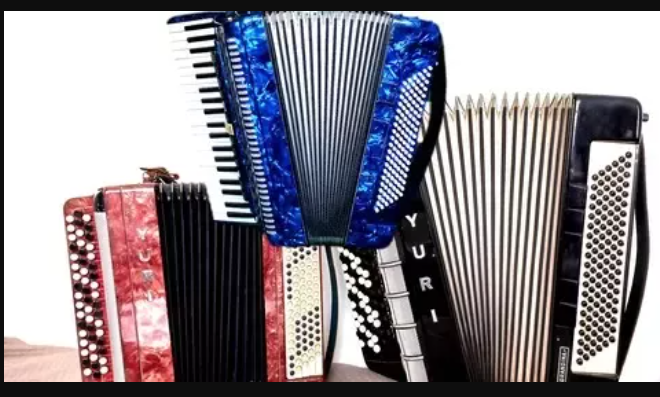 Udemy Accordion for complete beginners. BOOK 1 TUTORiAL (Premium)