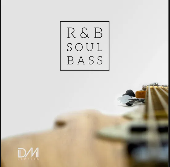 Dm Samples RnB Soul Bass (Premium)