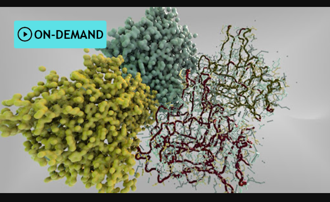 Houdini.School – HS-227 – Visualizing Protein Data Bank Information with Kate Xagoraris (Premium)