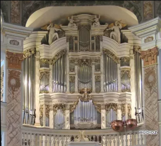 OrganArt Media – 1730 Tobias-Heinrich-Gottfried-Trost Organ (HAUPTWERK) (Premium)