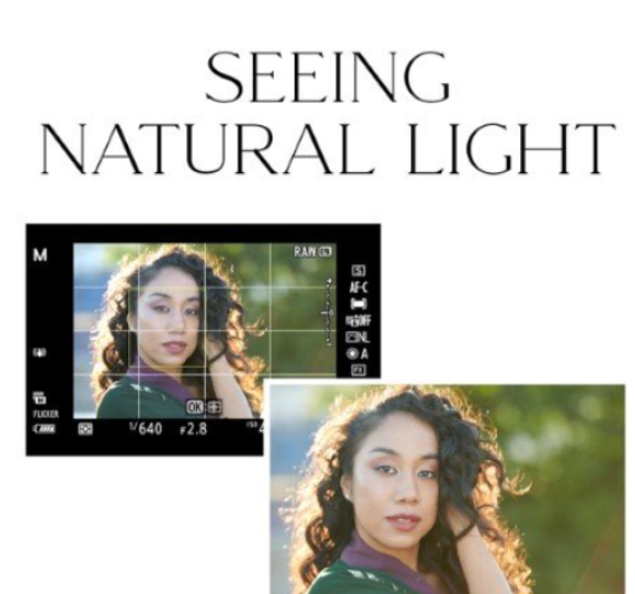 The Portrait Masters – Seeing Natural Light (Premium)