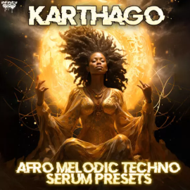 Infinity Audio Karthago Afro Melodic Techno Serum Presets (Premium)