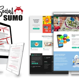 Local Social Sumo – The Ultra Rare Secrets to Managing Compaigns For Local Clients (Premium)