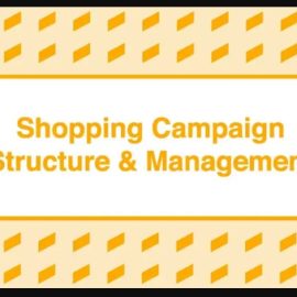 Take Some Risk – Shopping Campaign Structure and Management (Premium)