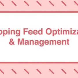 Take Some Risk – Shopping Feed Optimization and Management (Premium)