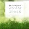 AwTeaches – Full Sun in Green Grass (Premium)