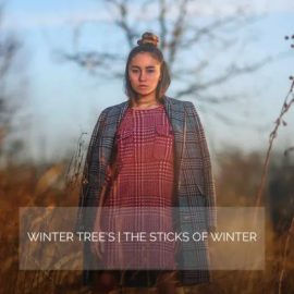 AwTeaches – Sticks of Winter (Premium)