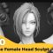 Artstation – +300 Japanese Female Head Sculpt Reference Images(4k) (Premium)