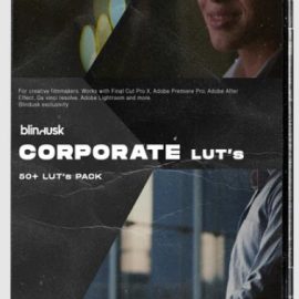 Blindusk – Corporate LUTs (Premium)