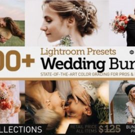 CreativeMarket – 200+ Wedding Presets Bundle – 6172458 (Premium)