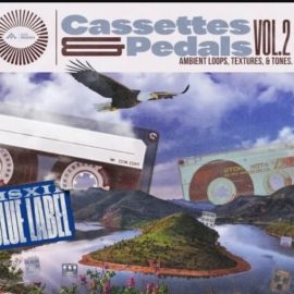 MSXII Sound Design Cassettes and Pedals Vol.2 (Premium)